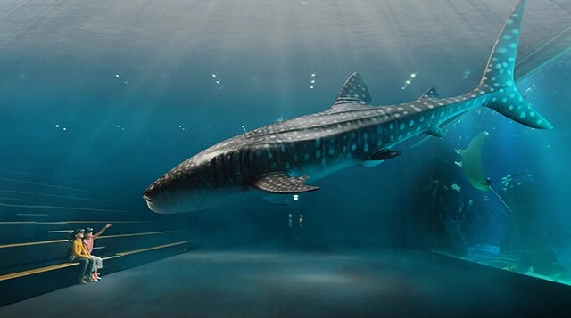 aquarium-haai-walvis-realiteit-augmentatie