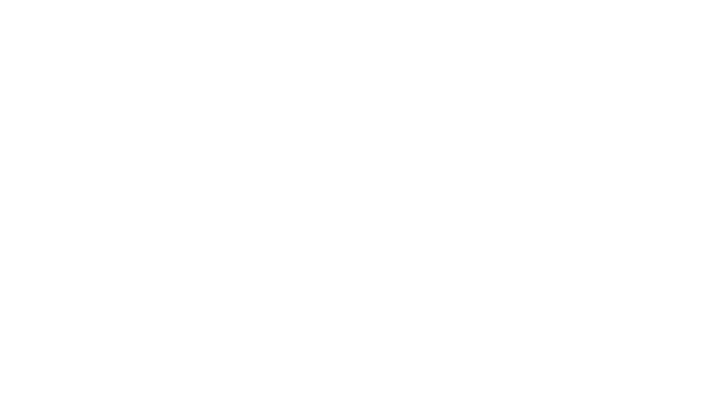 dkny logo blanc