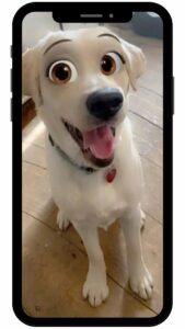 filtre snapchat pour animaux