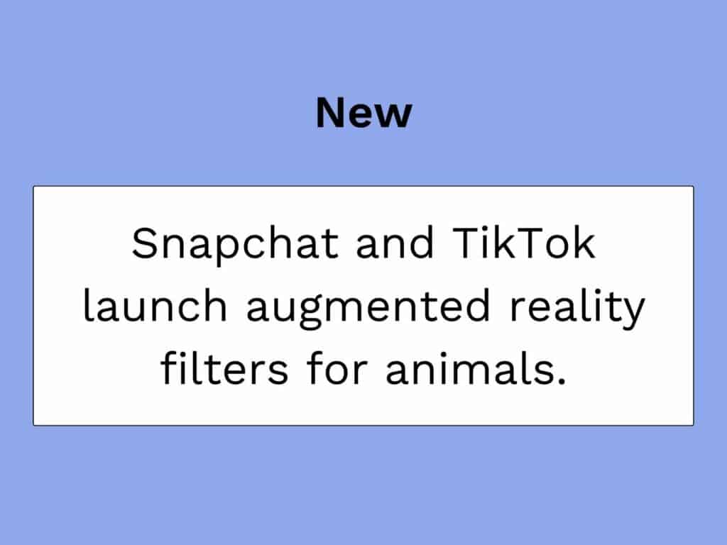 snapchatとtiktok、動物用の拡張現実フィルタを発表