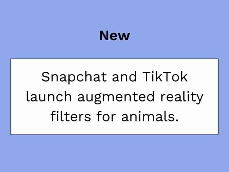 snapchat and tiktok launch augmented reality filters for animals