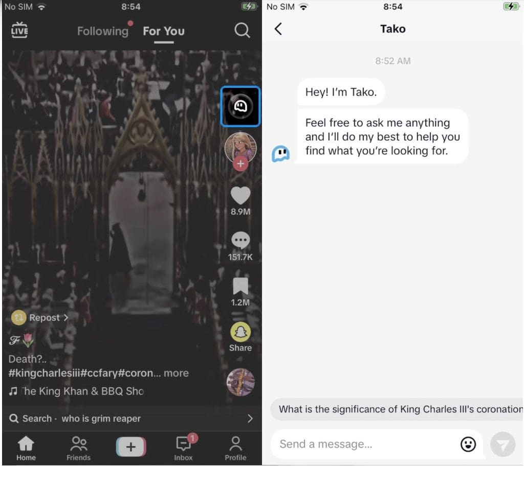 chatbot interface with Tako artificial intelligence from TikTok