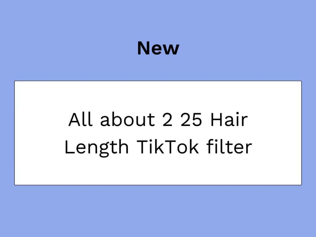 Filtre TikTok 2 25 Hair Length