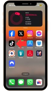 screenshot da un iphone con focus sull'app tiktok