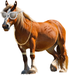 Caballo_min