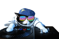 chat dj