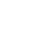 dickies logo wit