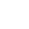 dickies logo wit