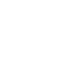 logo-indian-motorcicle