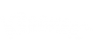 logo kleenex white